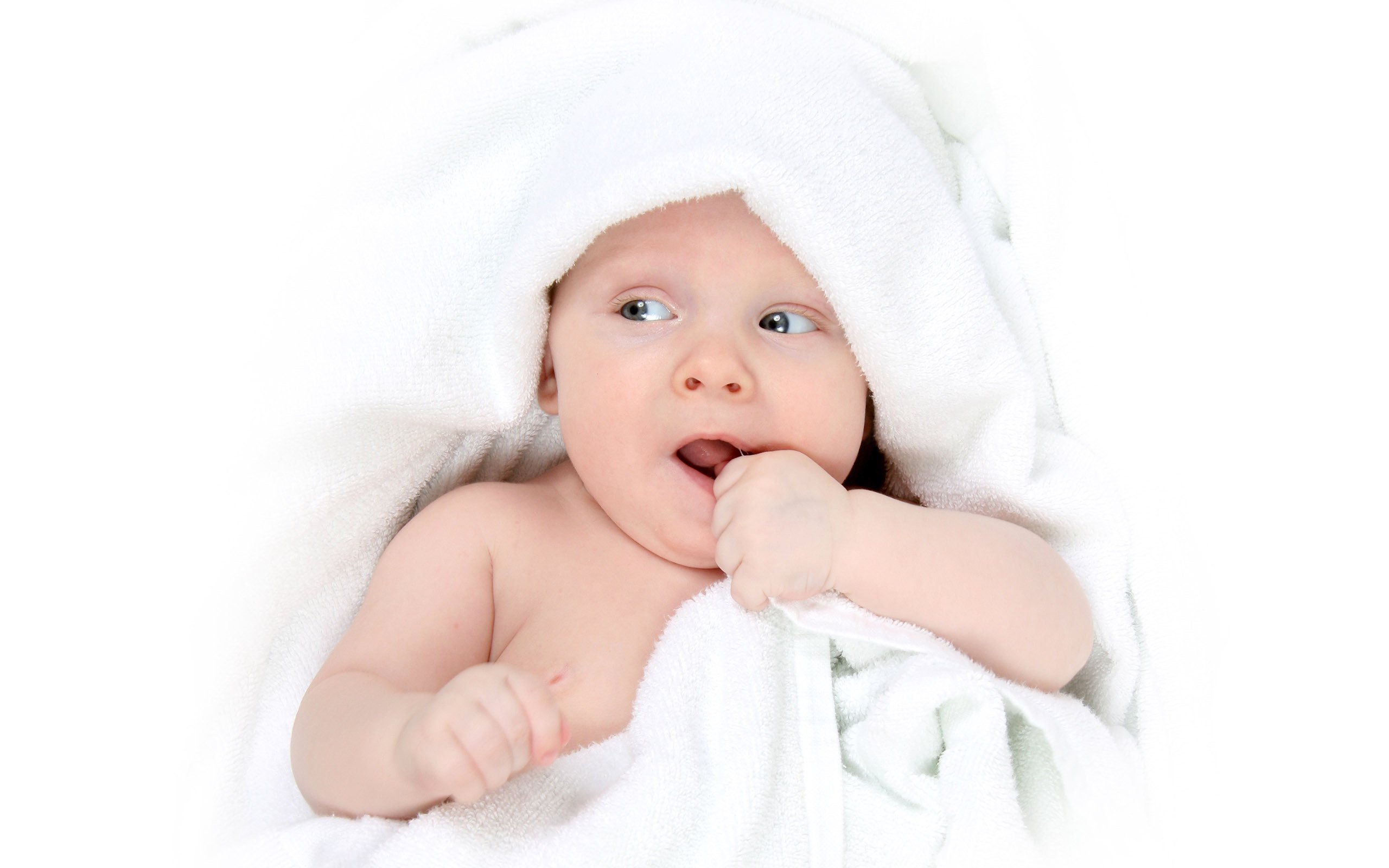 代怀生子助孕机构试管婴儿成功率有多少